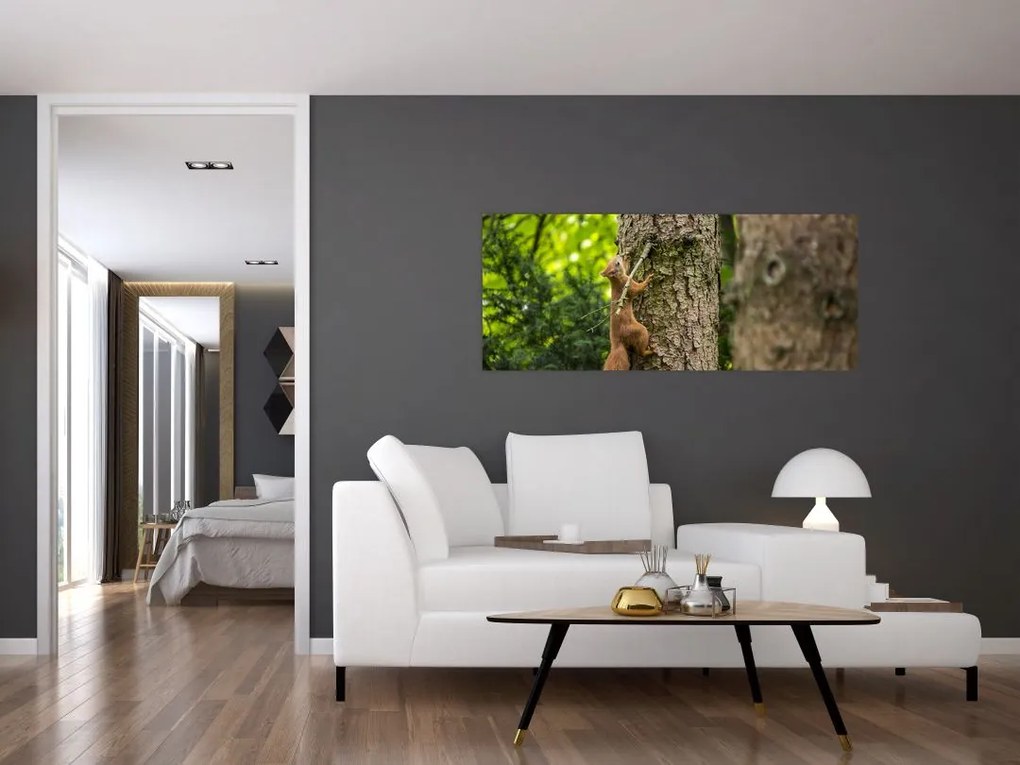 Tablou - Veverița (120x50 cm)