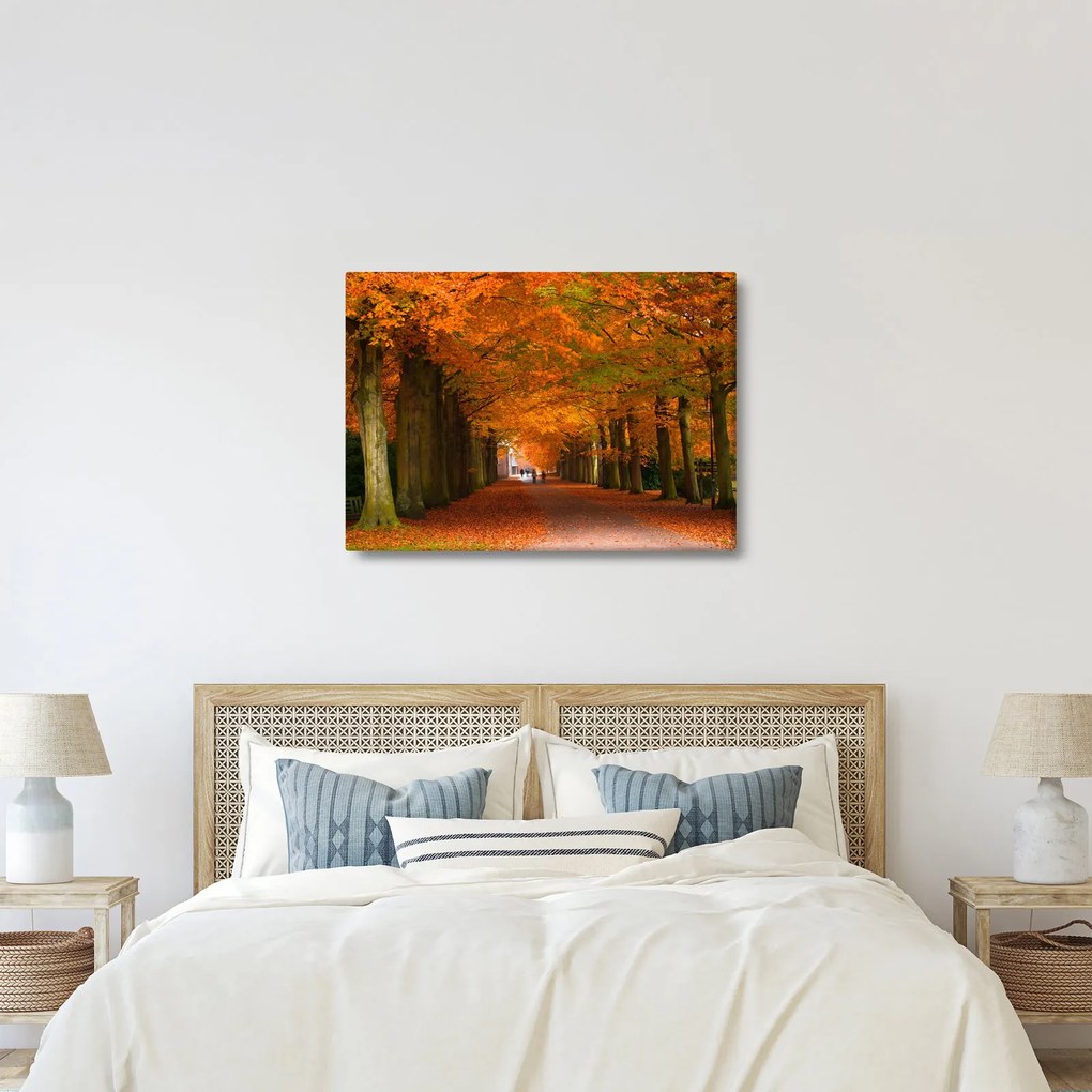 Tablou - Bulevardul de copaci în toamnă (70x50 cm)