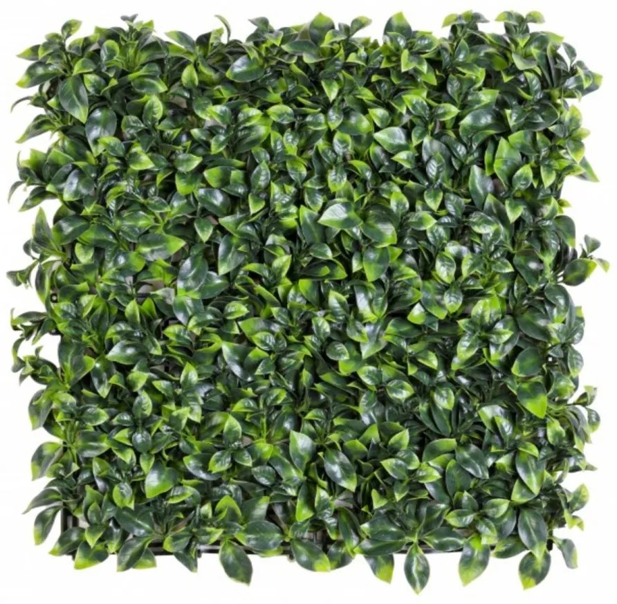 Panou verde artificial, Privet Green, Bizzotto, 50x50 cm