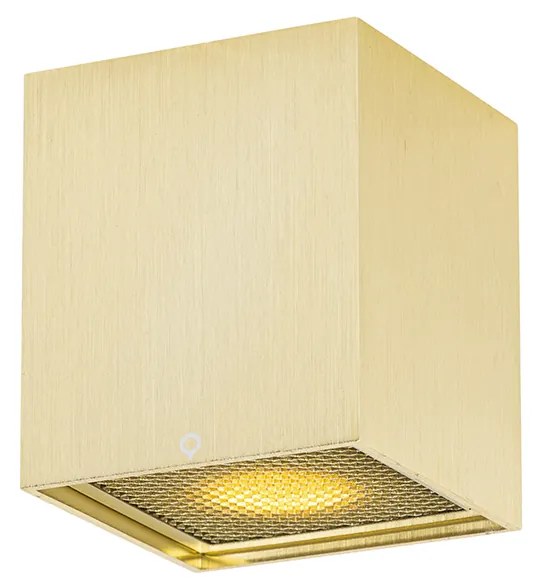 Spotlight de design auriu - Qubo Honey