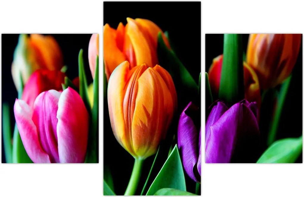 Tablou -Lalele pe fond negru (90x60 cm)