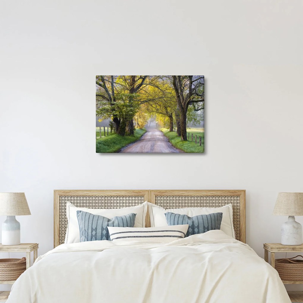 Tablou - Smoky Mountains, Gatlinburg, SUA (70x50 cm)