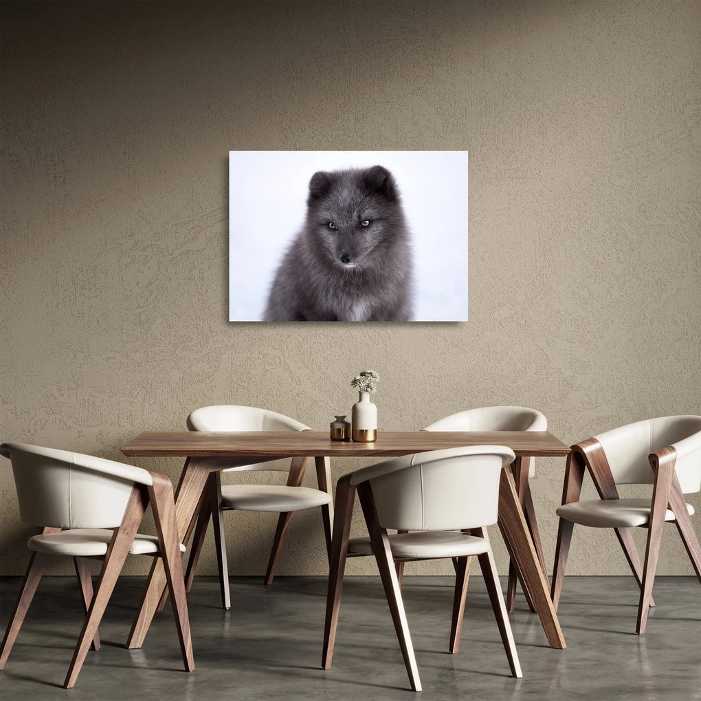 Tablou pe sticlă cu vulpe polară (70x50 cm)