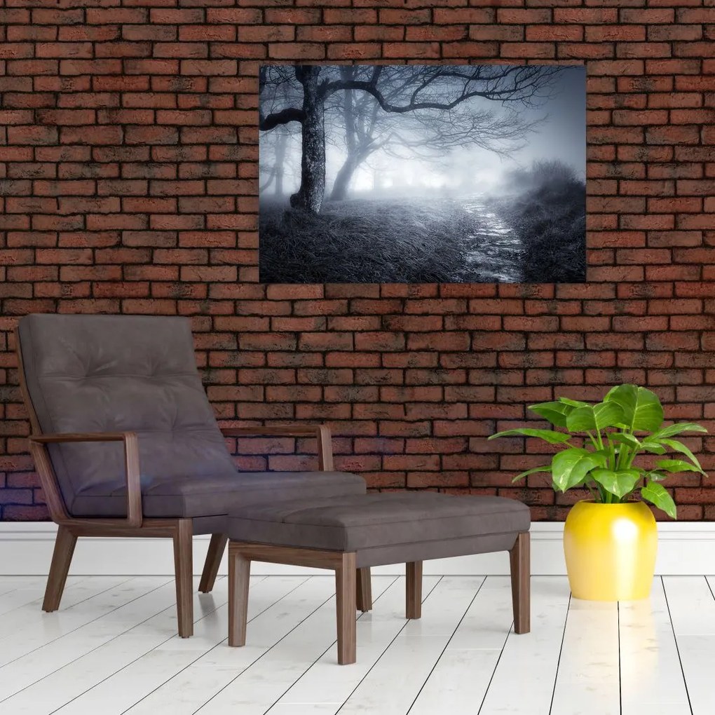 Tablou - Drum pin ceață (90x60 cm)