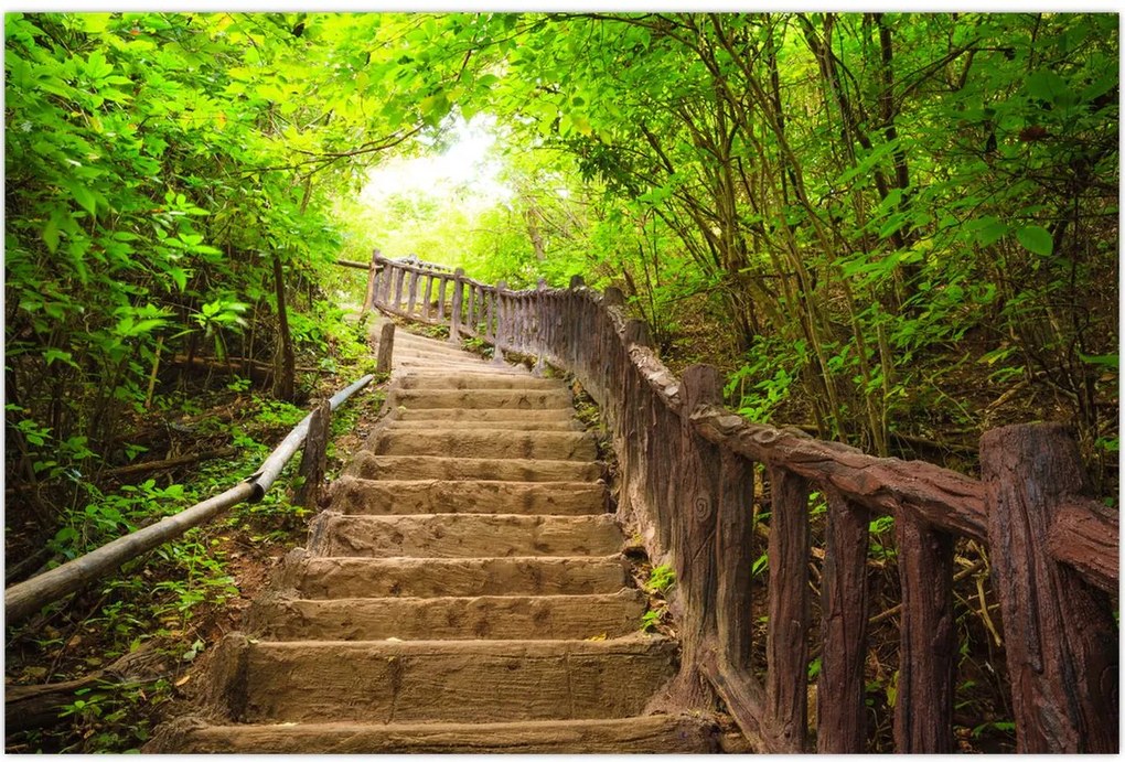 Tablou - Scări în natură (90x60 cm)