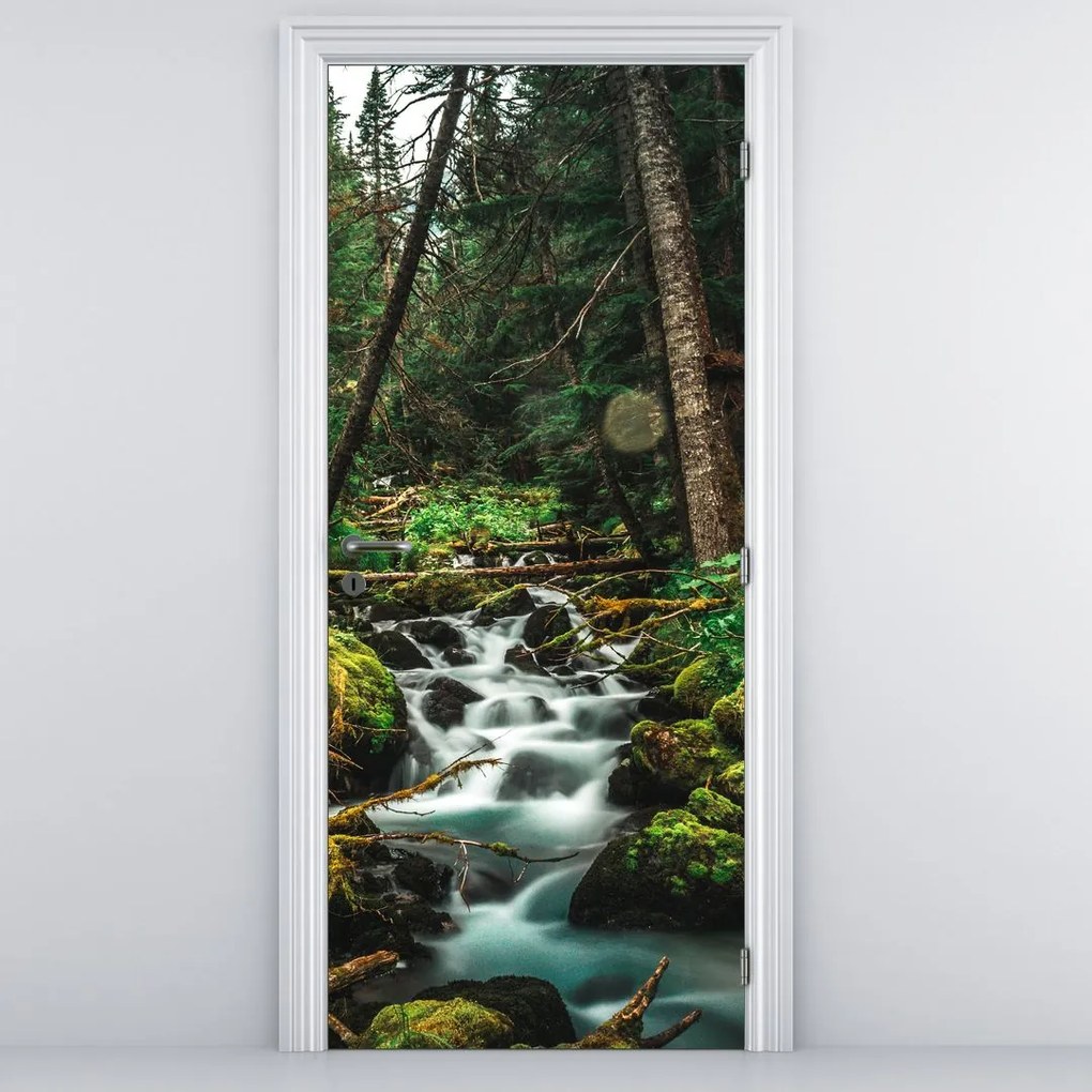 Fototapet pentru ușă - Pârâu în pădure (95x205cm)