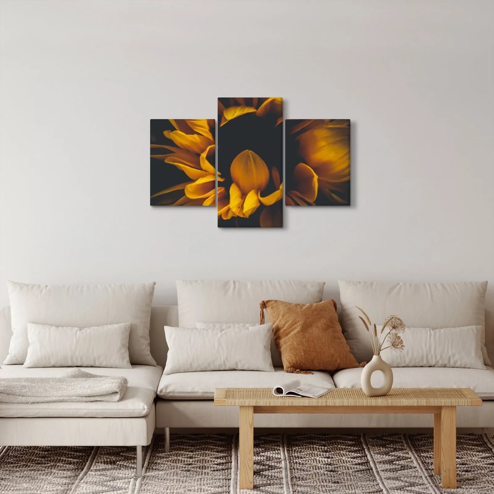 Tablou - Floarea-soarelui în fundal negru (90x60 cm)