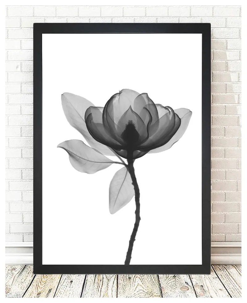 Poster 24x29 cm Harmony Flower - Tablo Center