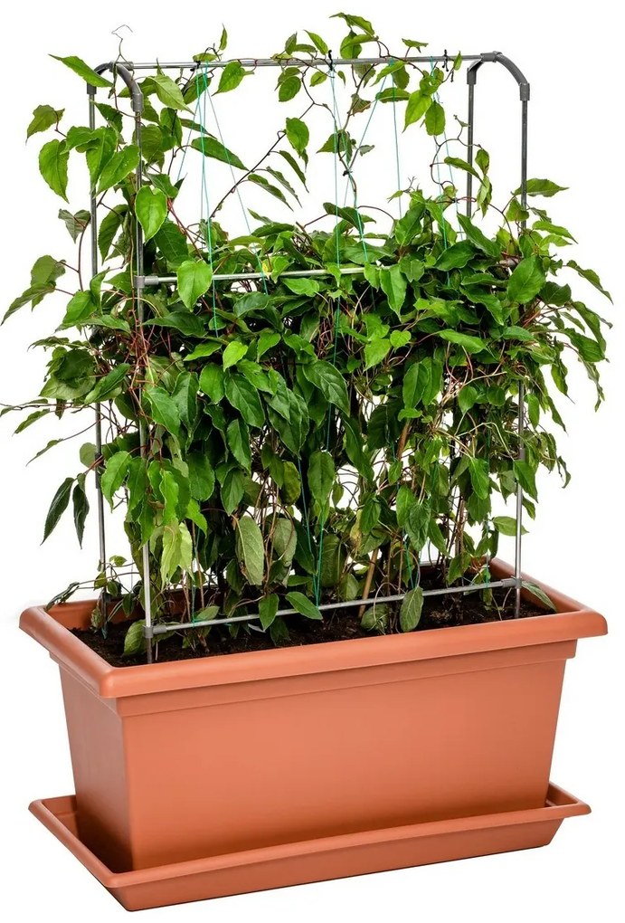 Suport vertical Gardenico Green Wall Magnus, 80cm, 80 cm
