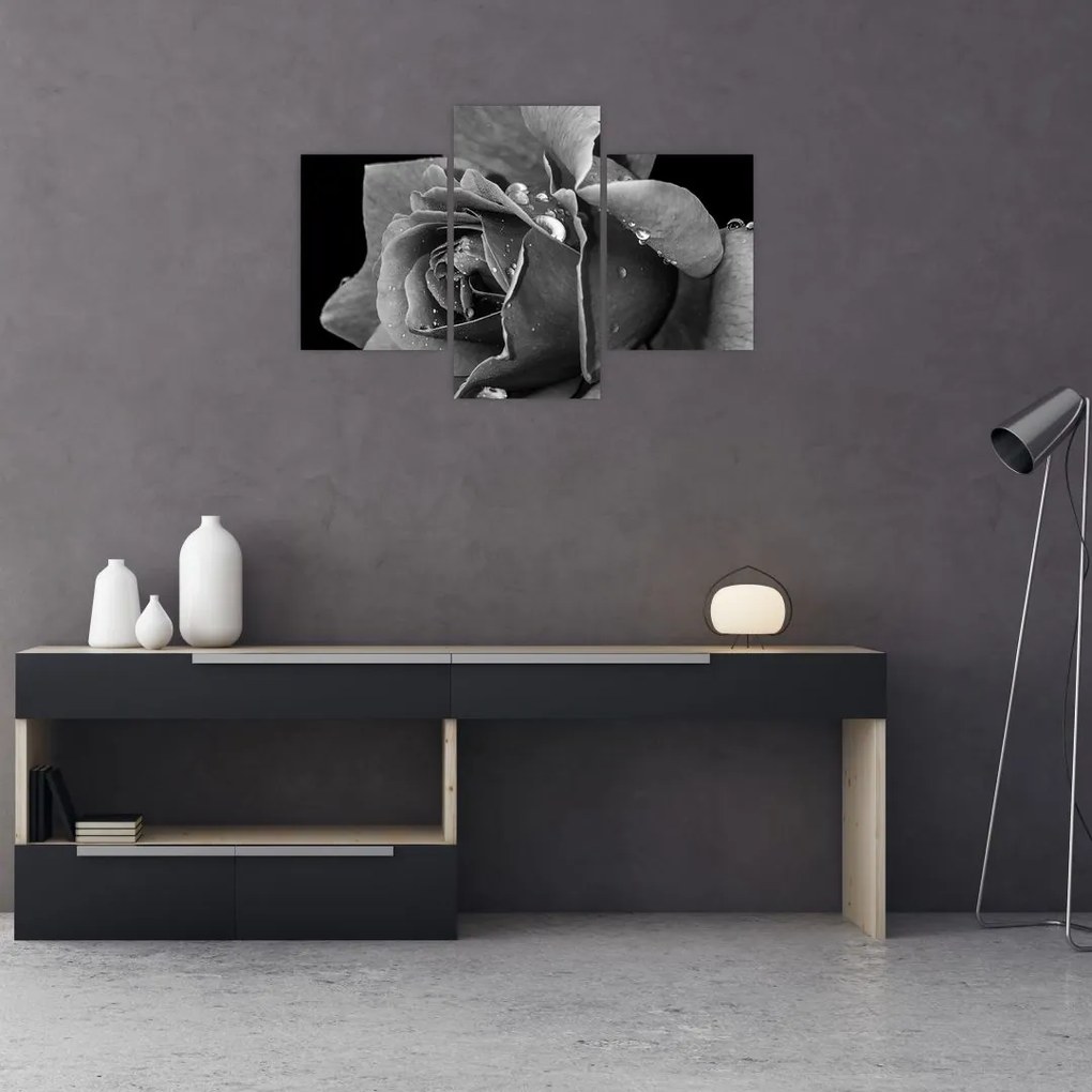 Tablou cu trandafir - albneagră (90x60 cm)