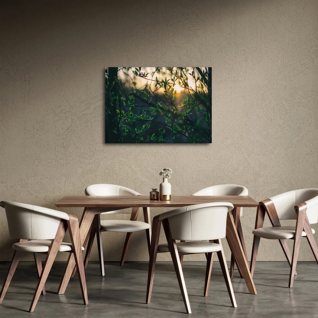Tablou - Soarele strălucind printre crengile copacilor (70x50 cm)