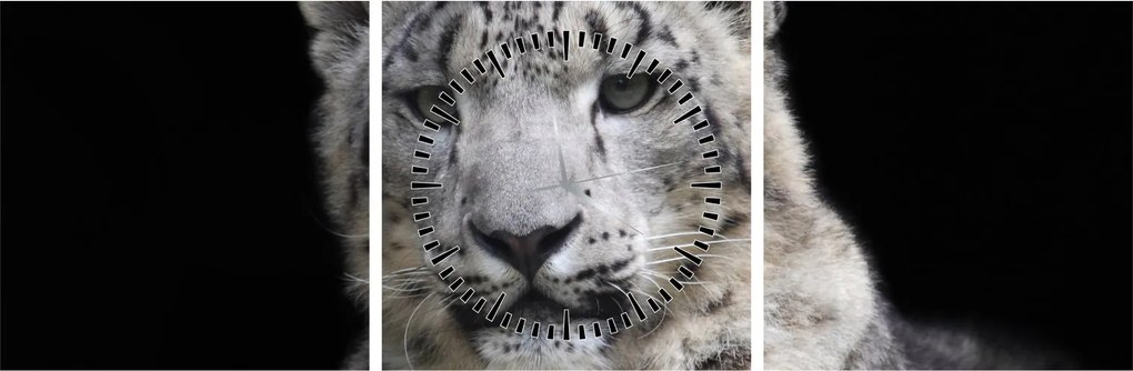 Tablou - Snow Leopard (cu ceas) (90x30 cm)