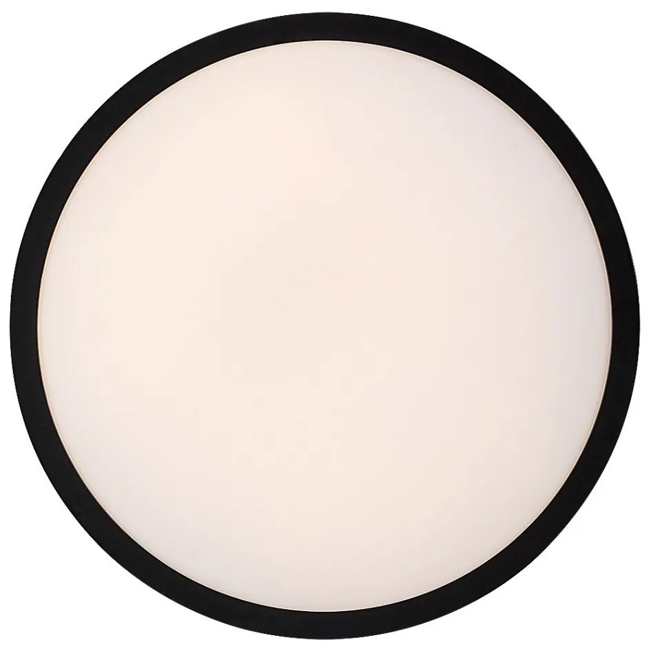 Plafoniera pentru baie, Protectie IP44 Alenzo D-30,5cm negru, alb