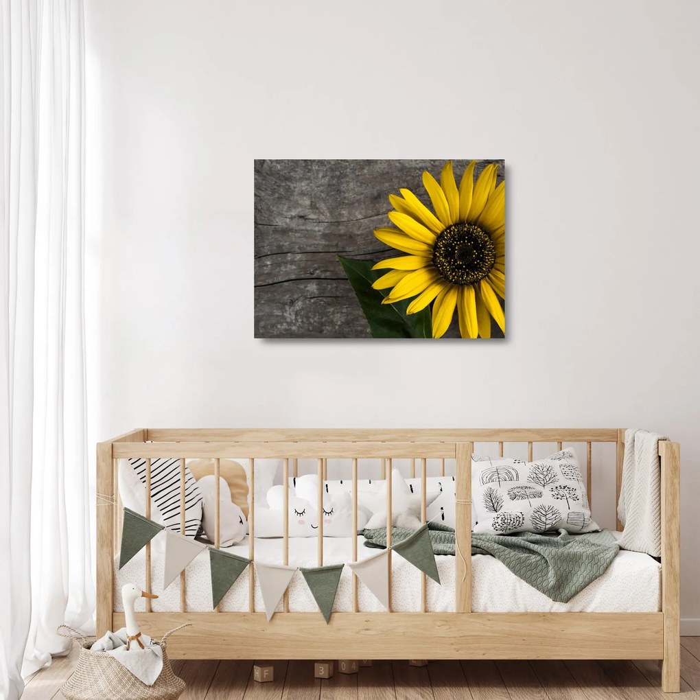 Tablou pe sticlă - Floare de floarea soarelui (70x50 cm)
