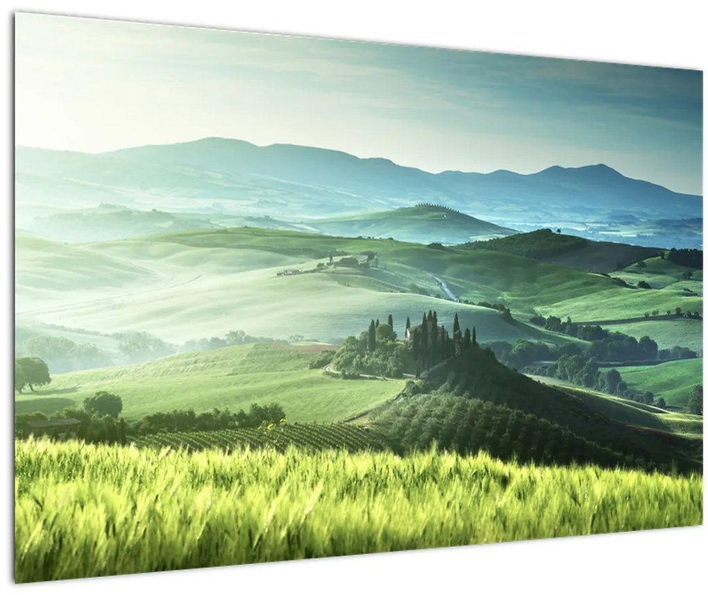 Tablou - Toscana, Italia (90x60 cm)