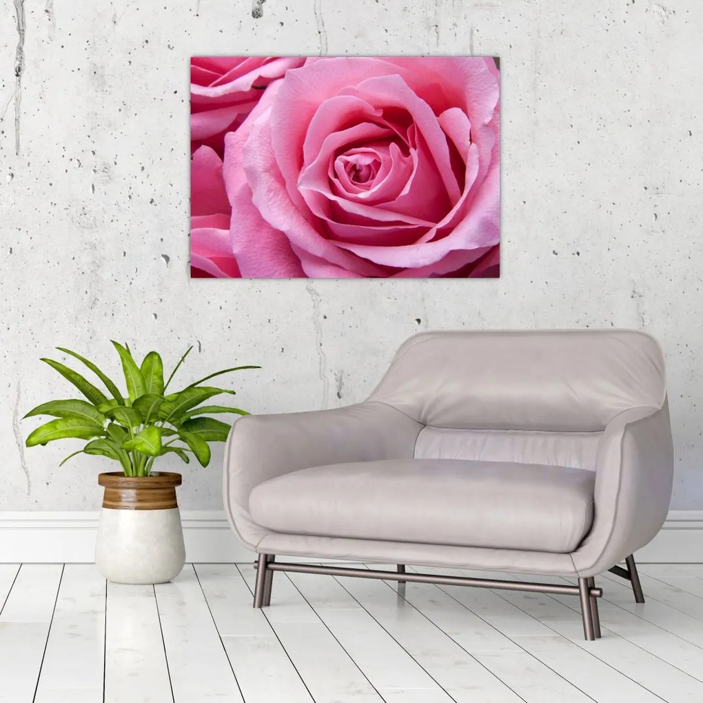 Tablou cu trandafir (70x50 cm)