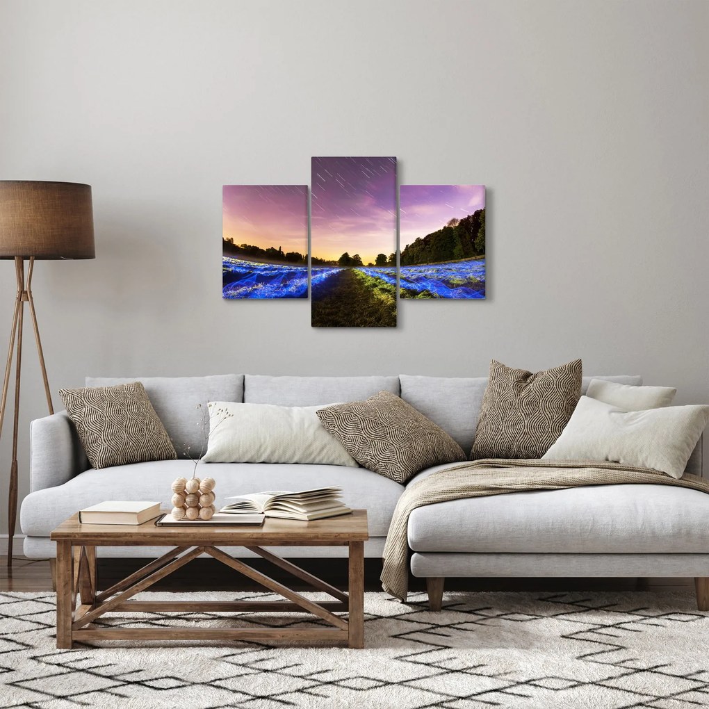 Tablou cu câmp colorat (90x60 cm)