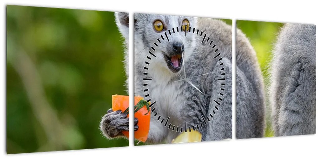Tablou cu lemur (cu ceas) (90x30 cm)