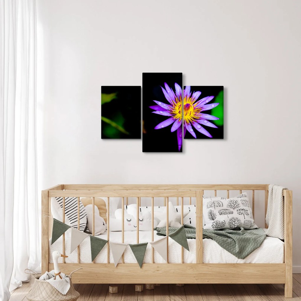 Tablou cu floare (90x60 cm)
