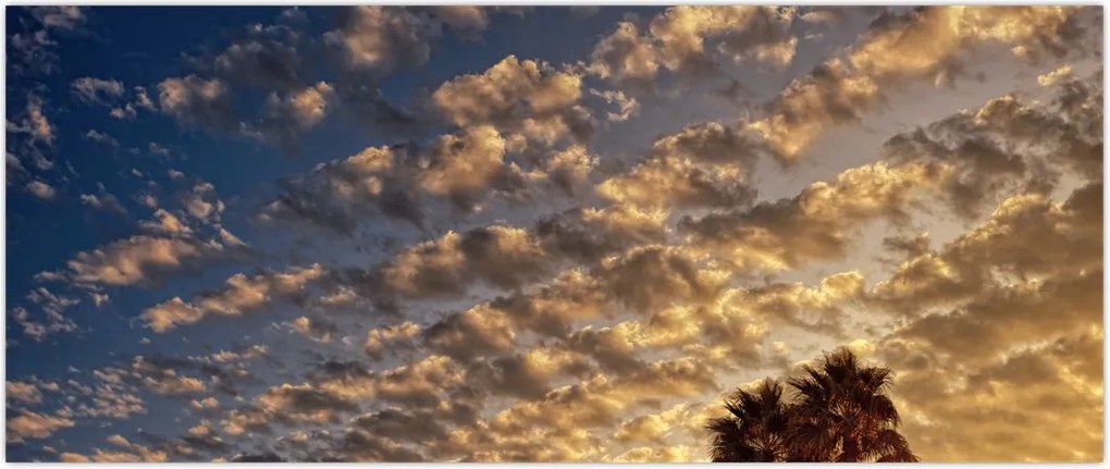 Tablou - Palmieri între nori (120x50 cm)