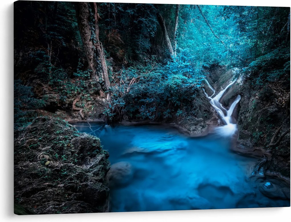 Tablou - Noaptea magică în pădurea tropicală (70x50 cm)