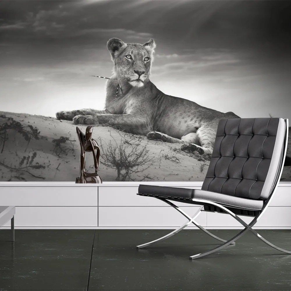 Fototapet Bimago - Black and white lioness + Adeziv gratuit 200x154 cm