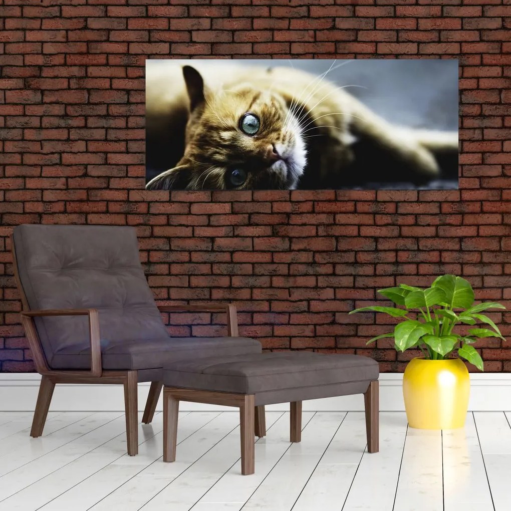 Tablou cu pisica (120x50 cm)