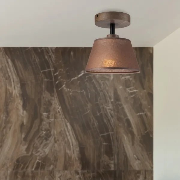 Lustră LED aplicată Brilagi ANTHONY 1xE14/60W/230V stejar nuc/maro