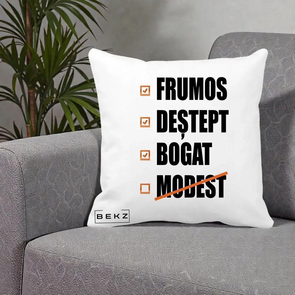 Perna Decorativa Frumos Destept Bogat, 40x40 cm, Alba Mata, Husa Detasabila, Perna Inclusa, BEKZ®
