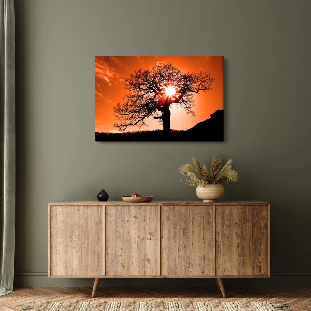 Tablou - Fag la apus de soare (90x60 cm)