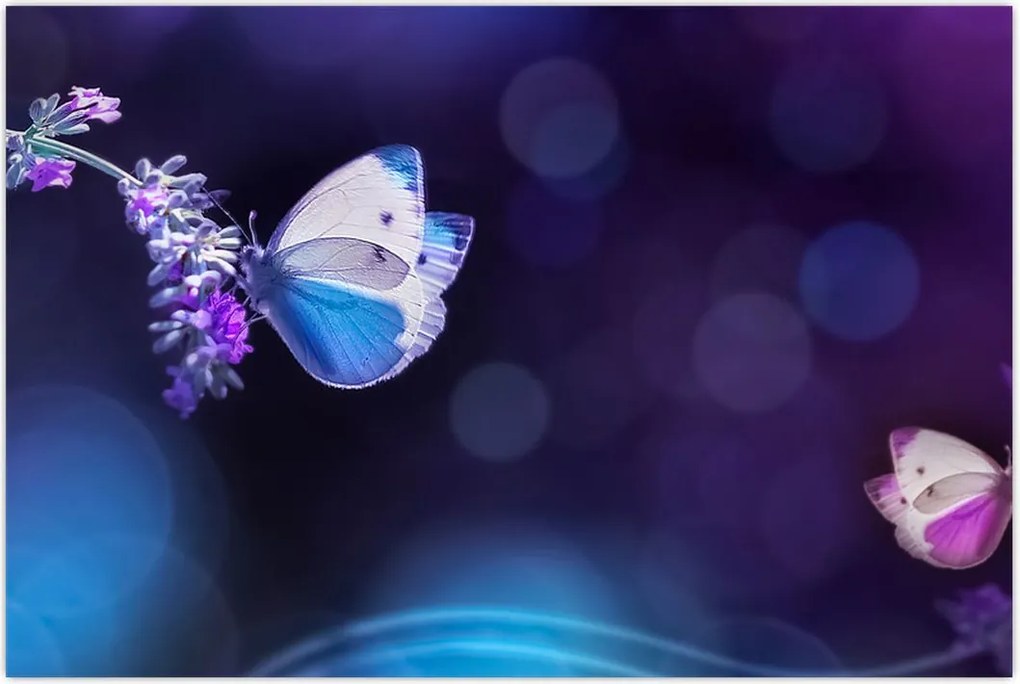 Tablou - Flutute în lavandă (90x60 cm)