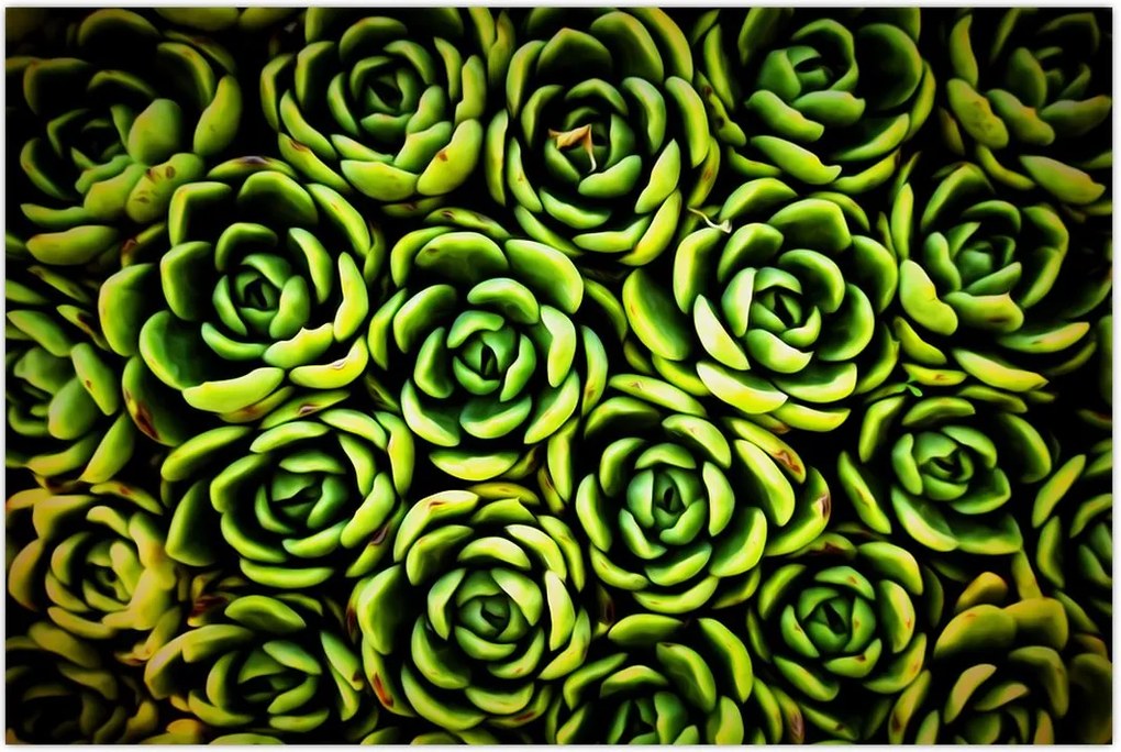 Tablou cu flori de piatră (90x60 cm)