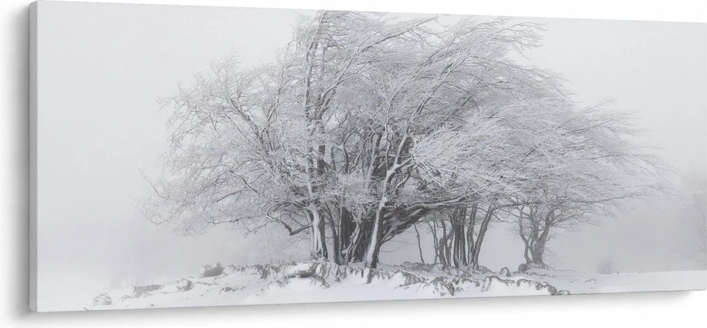 Tablou - Iarnă albă (120x50 cm)