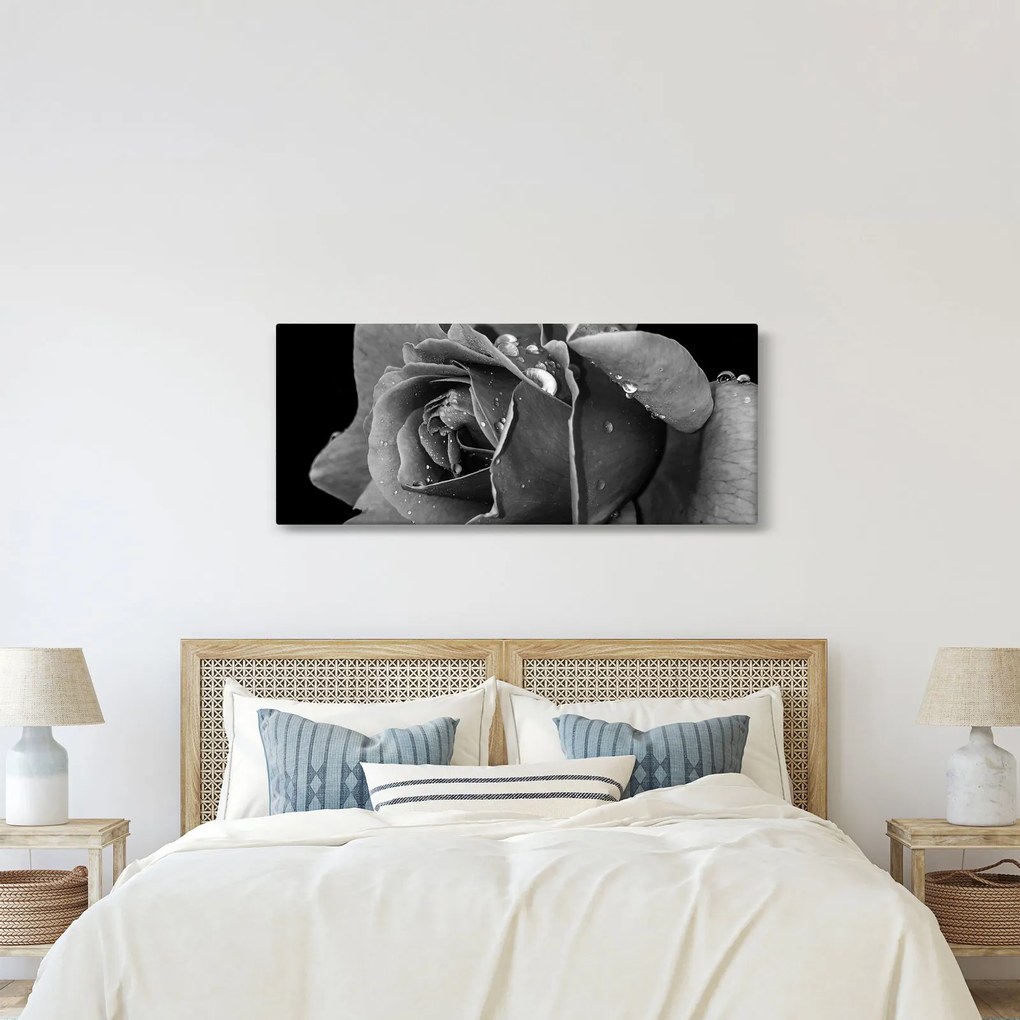 Tablou cu trandafir - albneagră (120x50 cm)