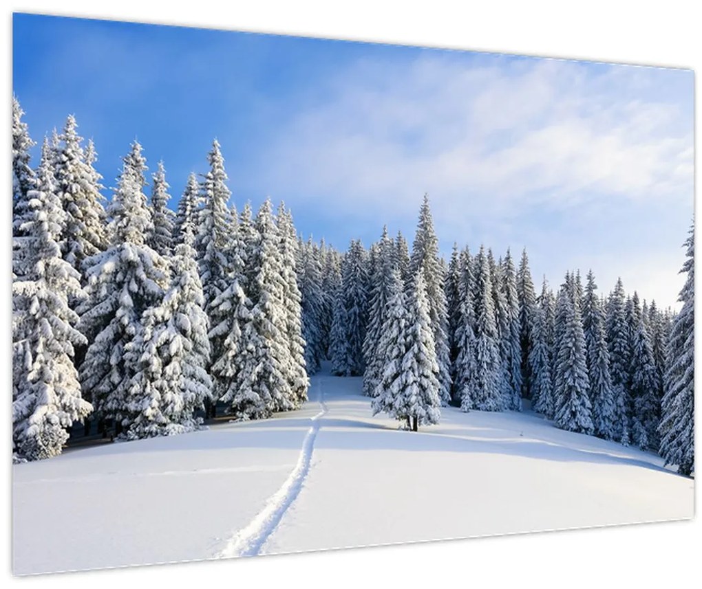 Tablou - Iarna in pădure (90x60 cm)