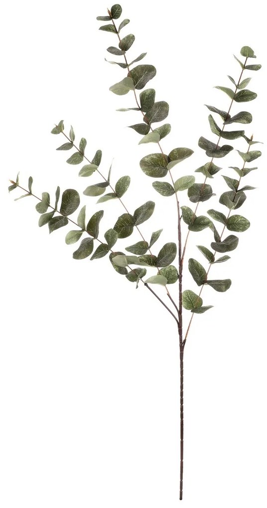 Eucalipt - ramură artificială, frunze mari, 100cm, verde
