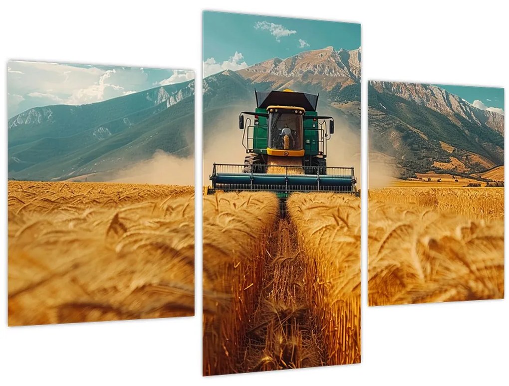 Tablou - Zemedelec (90x60 cm)