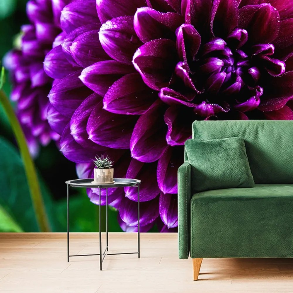 Fototapet autoadeziv floare violetă frumoasă