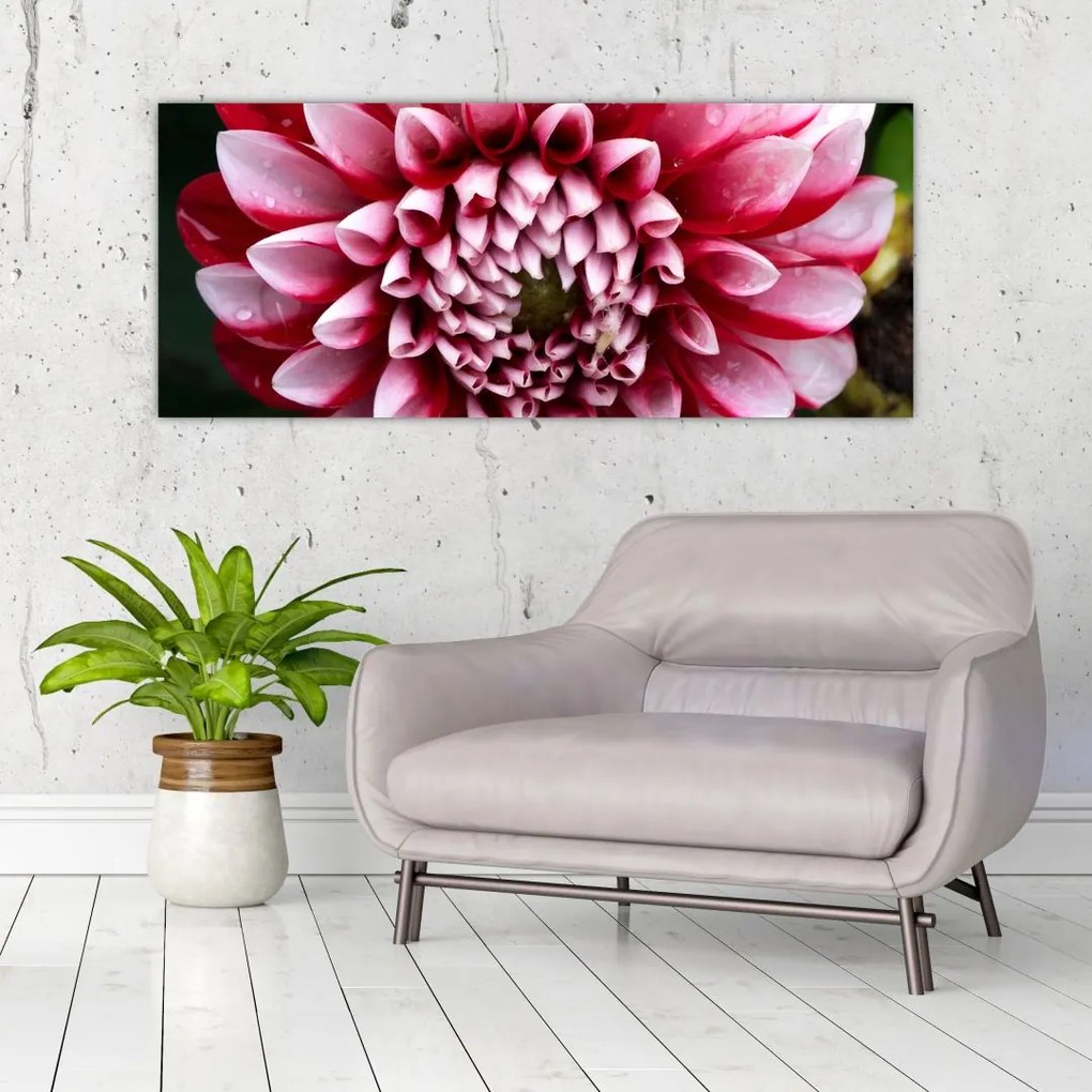 Tablou cu dalie roz (120x50 cm)