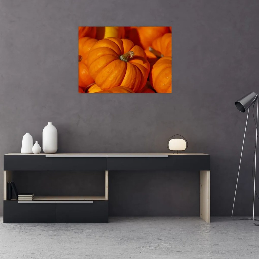 Tablou - Dovleci mari (70x50 cm)