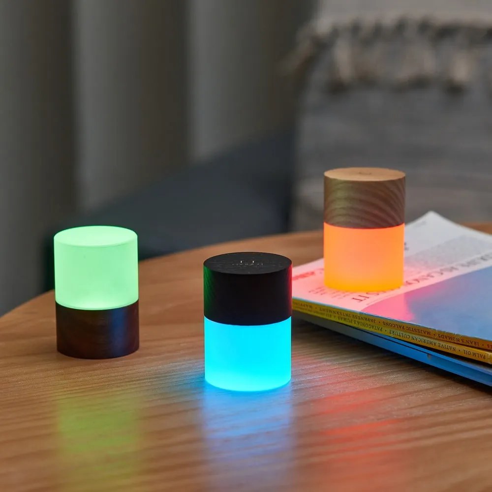 Decorațiune luminoasă în culoare naturală cu USB ø 4,5 cm Lemelia – Gingko