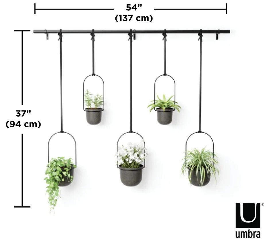 Ghivece 5 buc. din plastic pentru ierburi aromatice Triflora – Umbra
