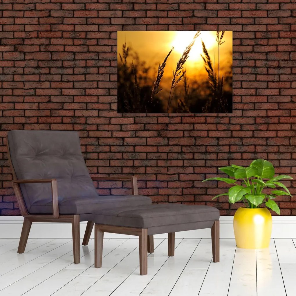 Tablou - Apus de soare (70x50 cm)