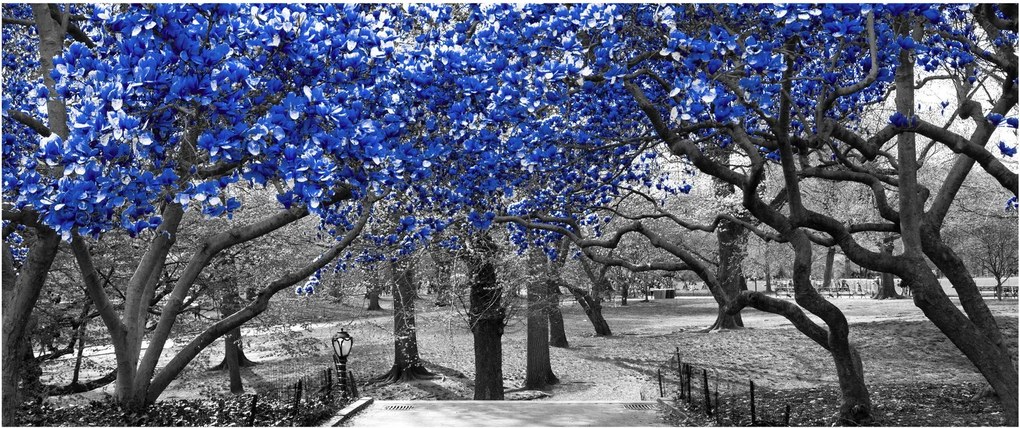 Tablou - Copaci albaștri Central Park, New York (120x50 cm)