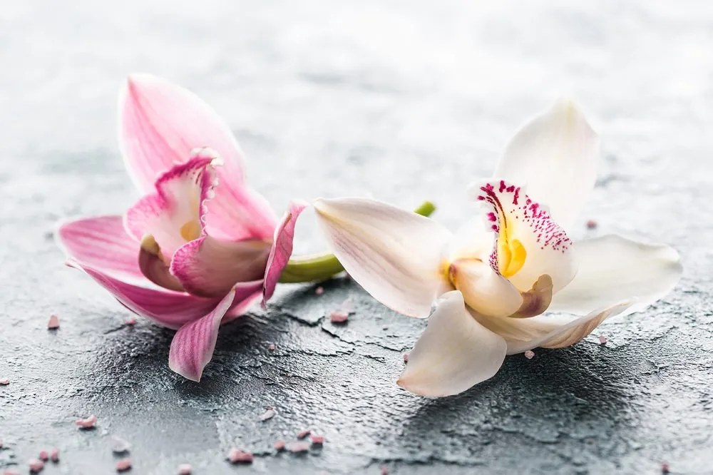 Fototapet flori de orhidee