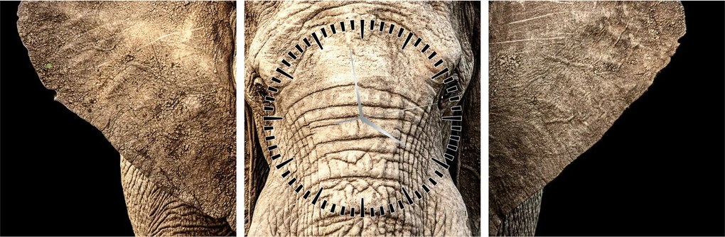Tablou - Elefant african (cu ceas) (90x30 cm)
