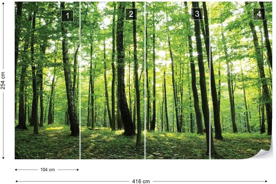 Fototapet GLIX - Forest Trees Green Nature + adeziv GRATUIT Tapet nețesute - 416x254 cm