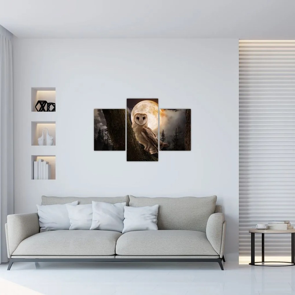Tablou cu bufnița (90x60 cm)