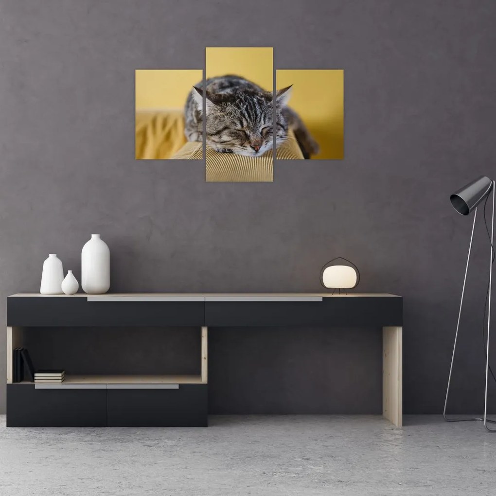 Tablou cu pisica pe fotoliu (90x60 cm)