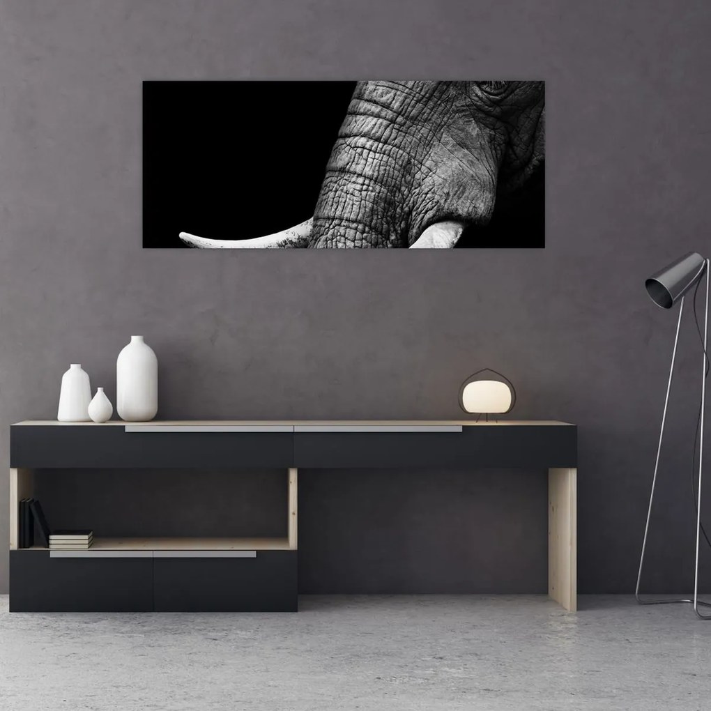 Tablou - Colți de elefant (120x50 cm)